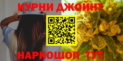 индика Лесосибирск