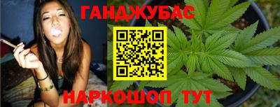 индика Лесосибирск