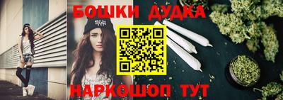 индика Лесосибирск