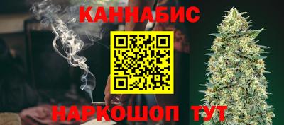 индика Лесосибирск