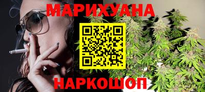 индика Лесосибирск