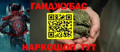 индика Лесосибирск