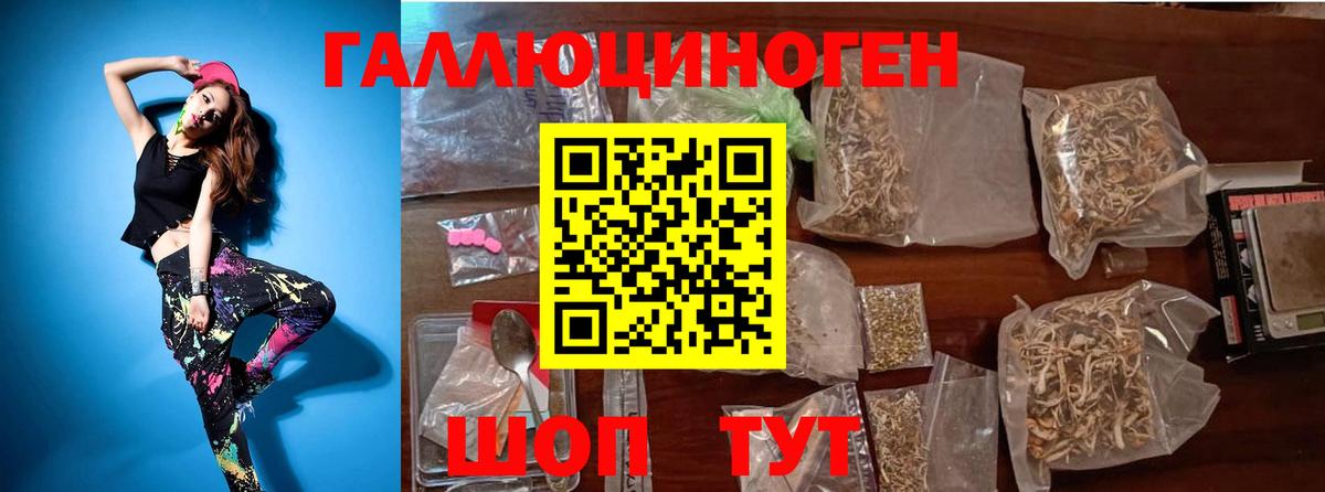 Гусев  Галлюциногенные грибы ЛСД  Вход с VPN  Галлюциногенные грибы Psilocybe 