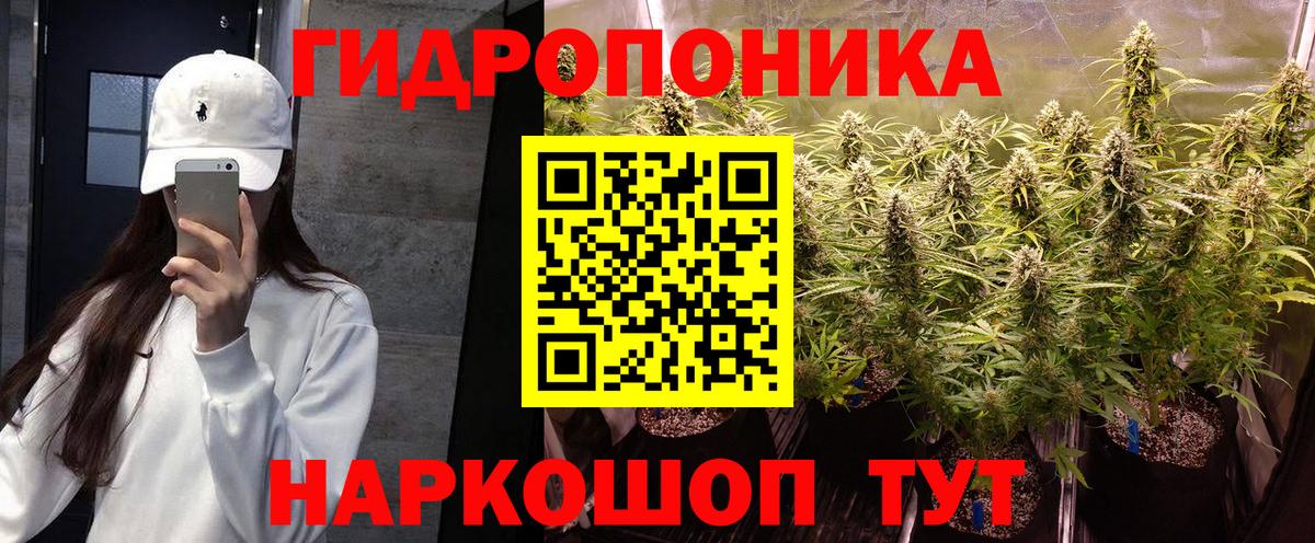 Гусев  Каннабис ГИДРОПОН  Каннабис LSD WEED  Бошки Шишки OG Kush  Бошки марихуана индика  Вход с VPN 